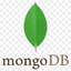 MongoDB 